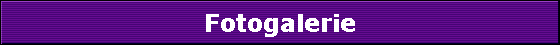 Fotogalerie
